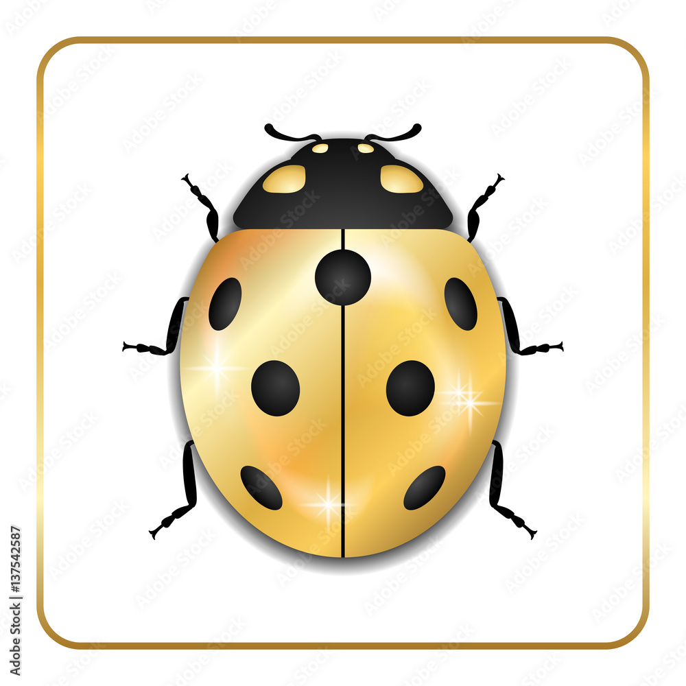 Naklejka premium Ladybug gold insect small icon. Golden lady bug animal sign, isolated on white background. 3d volume design. Cute jewelry ladybird design. Cartoon lady bird closeup beetle. Vector illustration