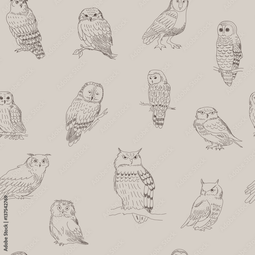 Stylish seamless pattern of cartoon owls strokes