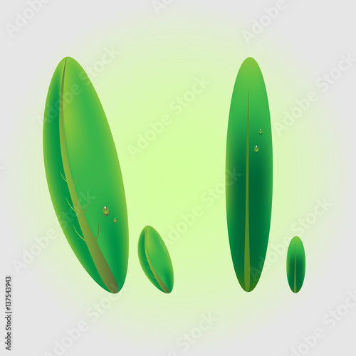 Realistic vector leaves