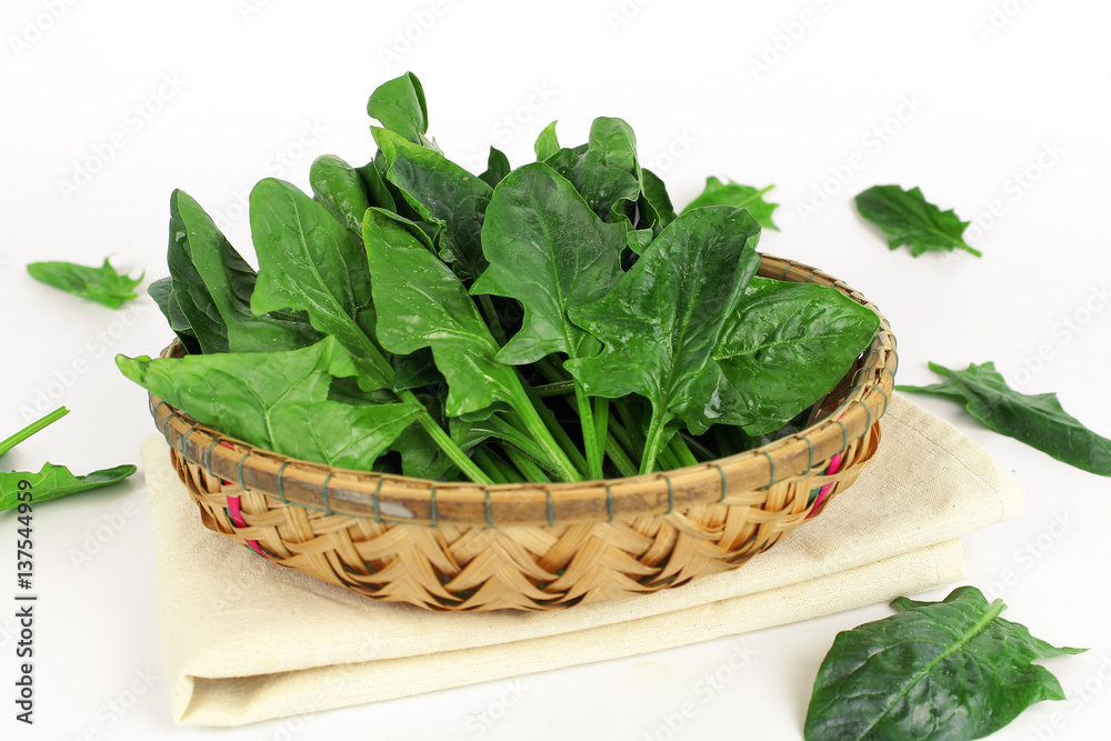 fresh spinach, high protein and amino acids fresh spinach, high protein and amino acids