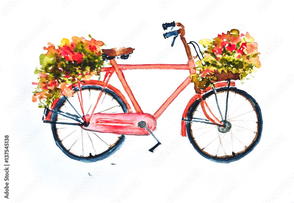 Red retro bicycle nd flowers  on white, watercolor  painting