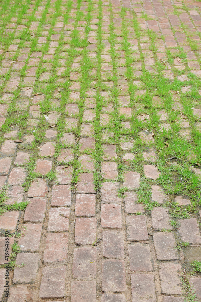 Stone block with grass pavement