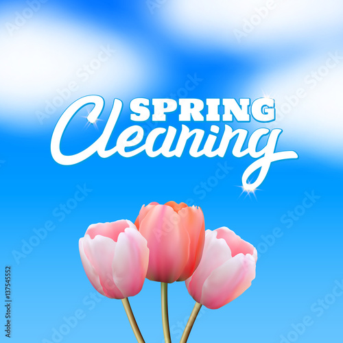 Spring Cleaning Lettering on sky Background, Tulips, Housework, Spring Season