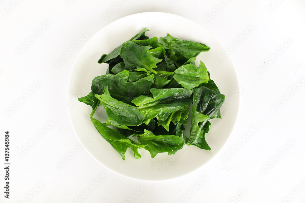 fresh spinach, high protein and amino acids fresh spinach, high protein and amino acids