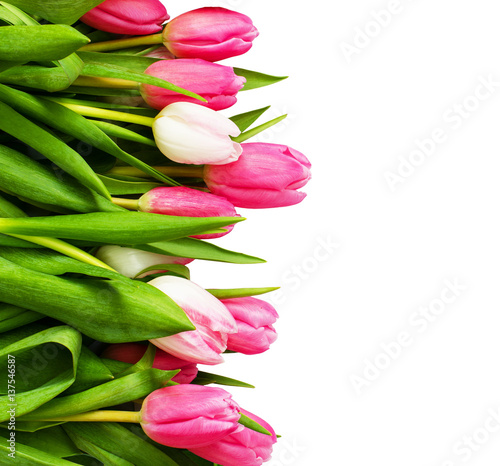 Fototapeta Naklejka Na Ścianę i Meble -  Pink tulip flowers bouquet