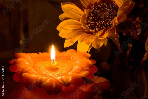 candle sunflower