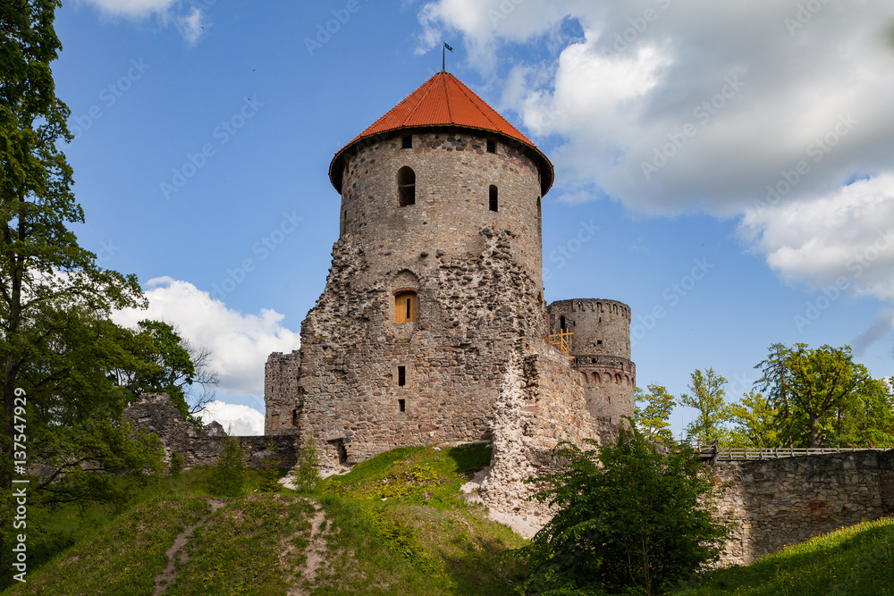 Big tower and beautiful ruins of ancient Livonian castle in old town of Cesis, Latvia. Greenery and summer daytime.