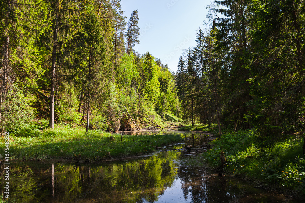 View of river Gauja green bank with reflection in the water. Gauja National park, Latvia. View of river Gauja green bank with reflection in the water. Gauja National park, Latvia.