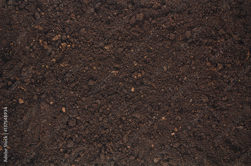 Naklejka premium Żyzne tło tekstura gleby widziany z góry, widok z góry. Koncepcja ogrodnictwo lub sadzenia z miejsca na kopię. Naturalny wzór