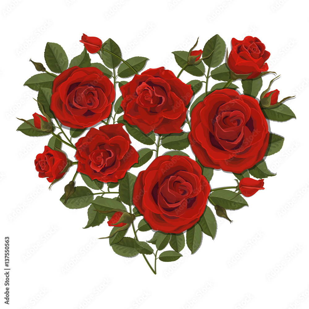 Heart shaped red rose bush. Vector illustration for greeting cards