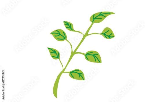 drzewo,ptaki,rośliny