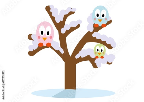 drzewo,ptaki,rośliny