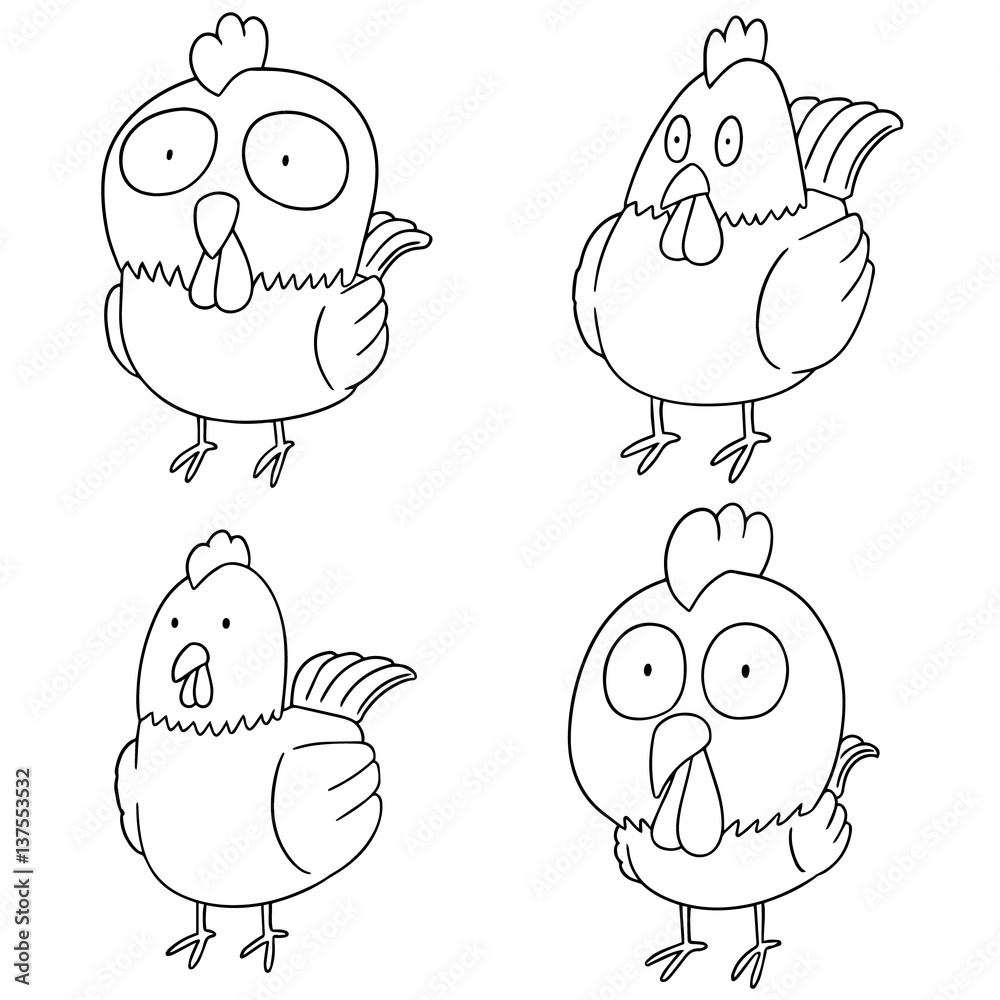 vector set of chicken vector set of chicken