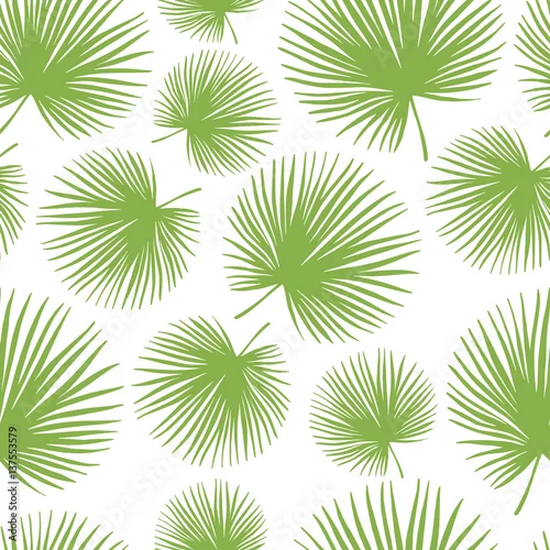 Tapety Tropikalny modny wzór z egzotycznymi liśćmi palmowymi