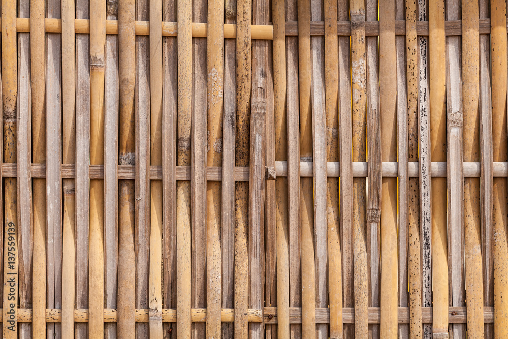 Fototapeta premium bamboo closeup