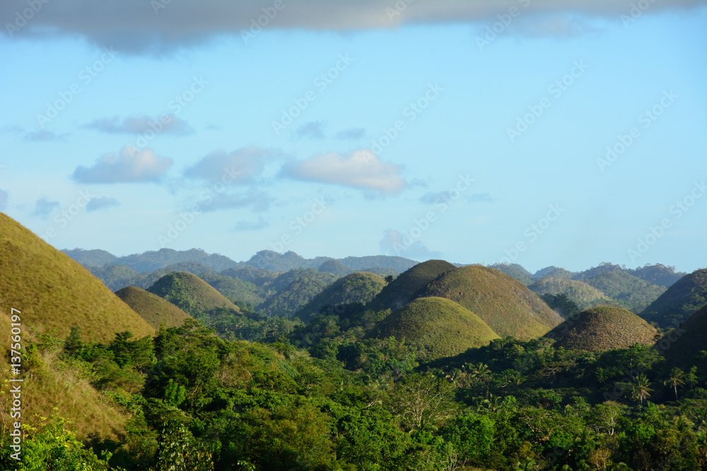 Chocolate hills on Bohol Island in Philippines