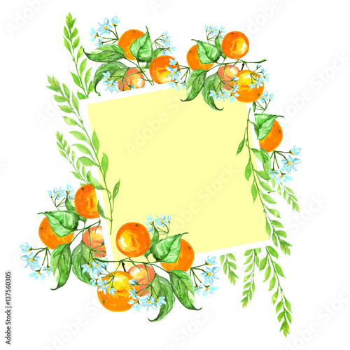 Watercolor card with a vintage pattern of orange  tangerine  citrus. Blooming fruit with leaves on a branch.