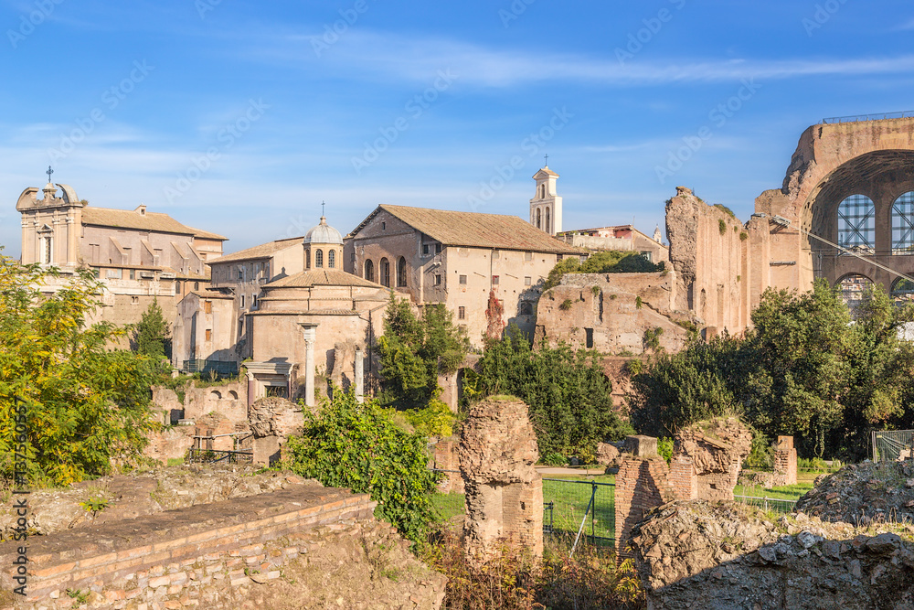 Rome, Italy. In the foreground - the ruins of the House of the Vestal. Next From left - right: the ruins of the Temple of Vesta, the Curia Julia, the Temple of Antoninus and Faustina (141 AD)