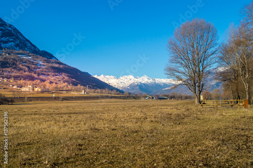 Fotografia mountain panorama, walk in the forest with trees