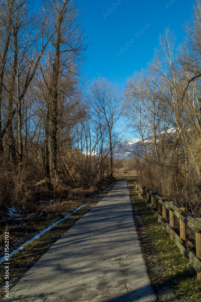 mountain panorama, walk in the forest with trees