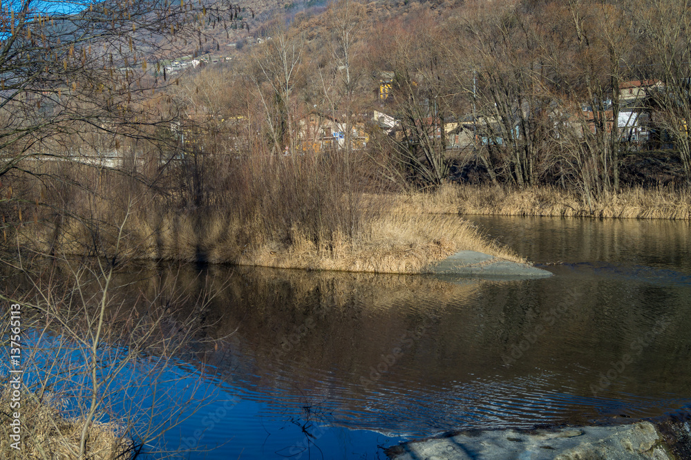 mountain panorama, with frozen lake, trees and forest mountain panorama, with frozen lake, trees and forest