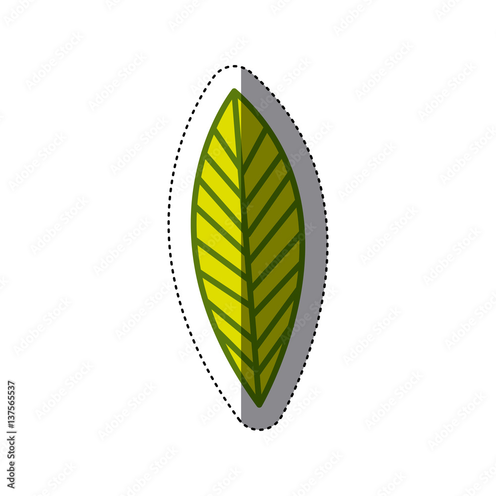 leaves icon image stock, vector illustration design leaves icon image stock, vector illustration design
