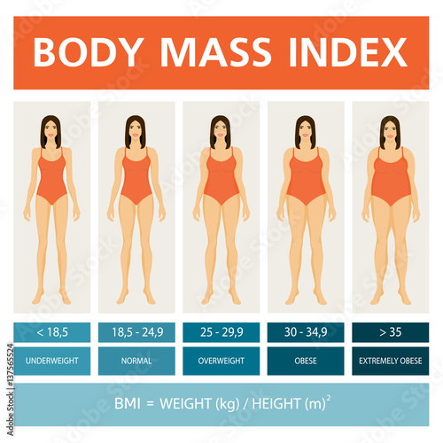Body Mass Index Illustration with women figures. Obesity stages. Infographics