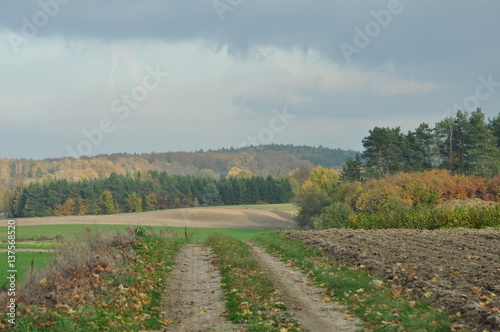 Polska - Mazury - Warmia - Krajobraz