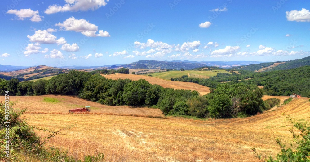 Obraz premium Picture