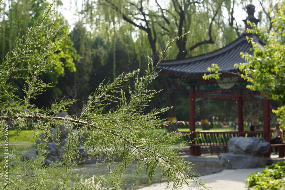 Парки  Пекина