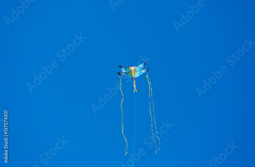 Dragonfly kite in the air