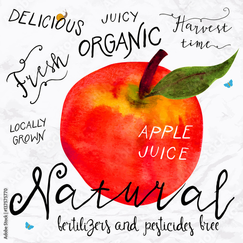 Watercolor apple