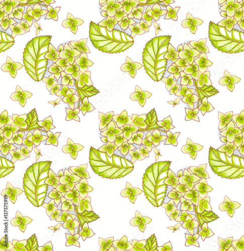 Raster pattern with green garden hedrangea.