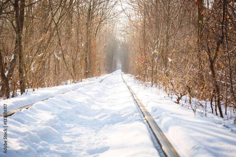 The real natural wonder - love tunnel created from trees along the railway in Ukraine, Klevan. Winter sunset snow on the rails The real natural wonder - love tunnel created from trees along the railway in Ukraine, Klevan. Winter sunset snow on the rails