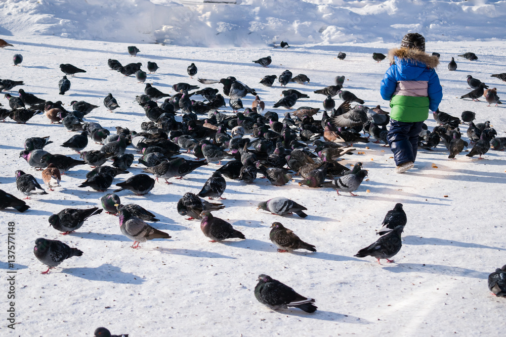 Little boy winter running after pigeons Little boy winter running after pigeons