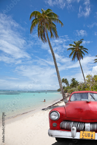 Fototapeta Naklejka Na Ścianę i Meble -  voiture cubaine sous les cocotiers