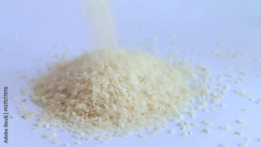 Pile of rice that falls from above on white background. Agriculture closeup macro food raw seed. Pile of rice that falls from above on white background. Agriculture closeup macro food raw seed.