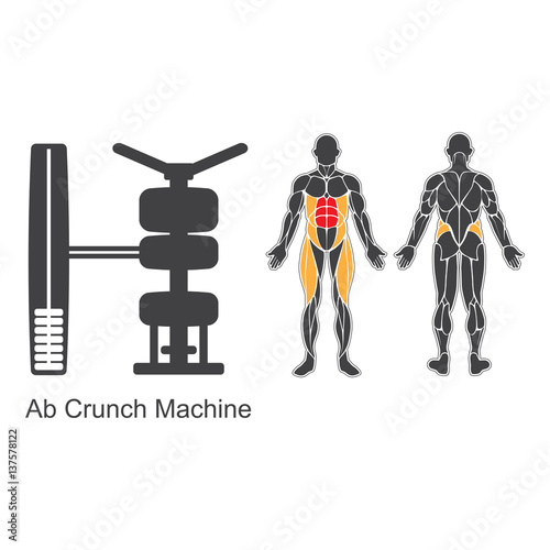 Gym ab crunch machine