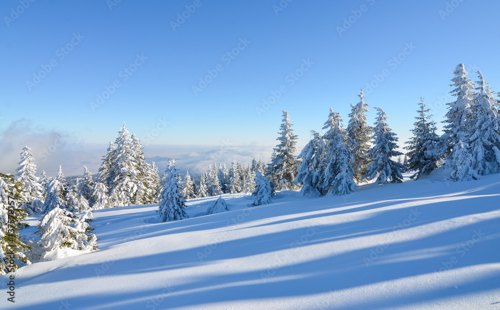 background, beautiful, blue, cloud, cold, europe, fir, fog, forest, frost, holiday, ice, landscape, mountain, nature, outdoor, season, ski, sky, snow, snowy, sun, sunny, sunset, transylvania, travel, 