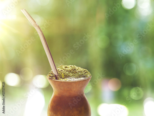 Chimarrão, traditional mate hot tea. Drink of South of the Brazil. Also knowed like mate. On sunny green bokeh background