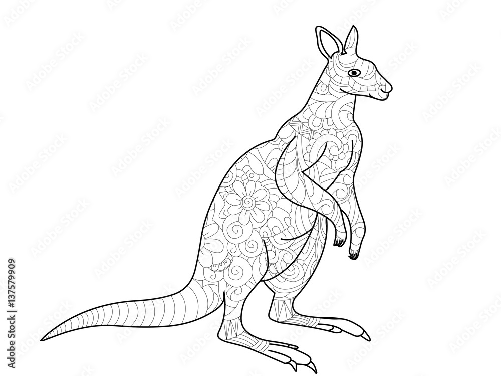 Fototapeta premium kangaroo coloring book for adults vector illustration