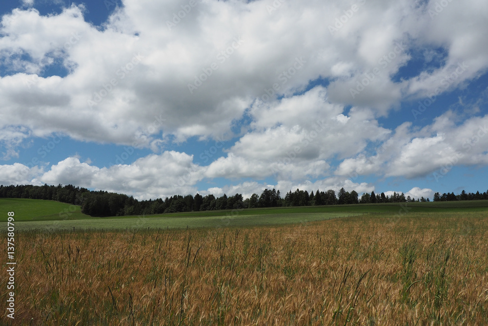 Jura Landschaft