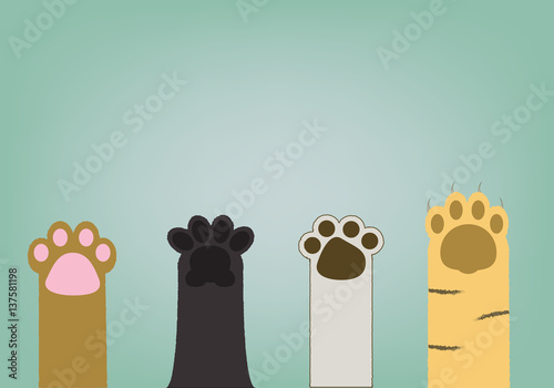 abstract 4 type of cat paws on vintage background