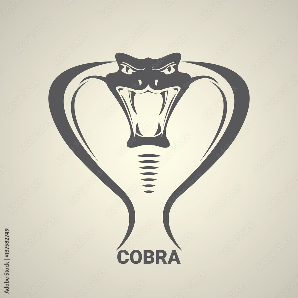 Fototapeta premium vector dangerous cobra snake icon