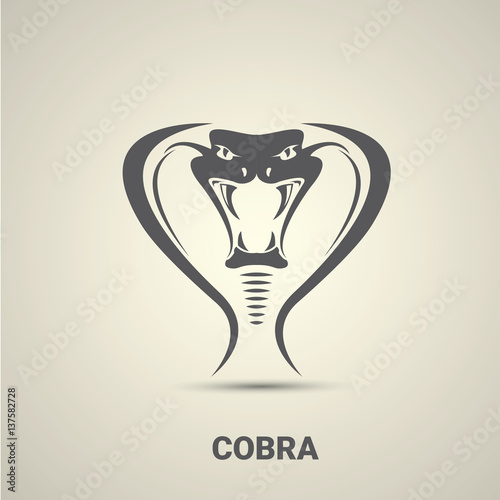 vector dangerous cobra snake icon