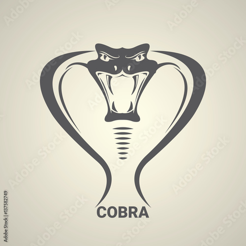vector dangerous cobra snake icon