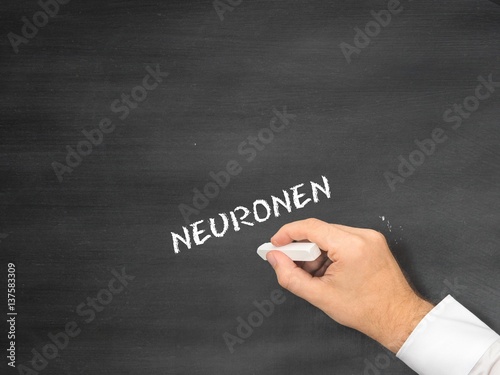 Neuronen photo