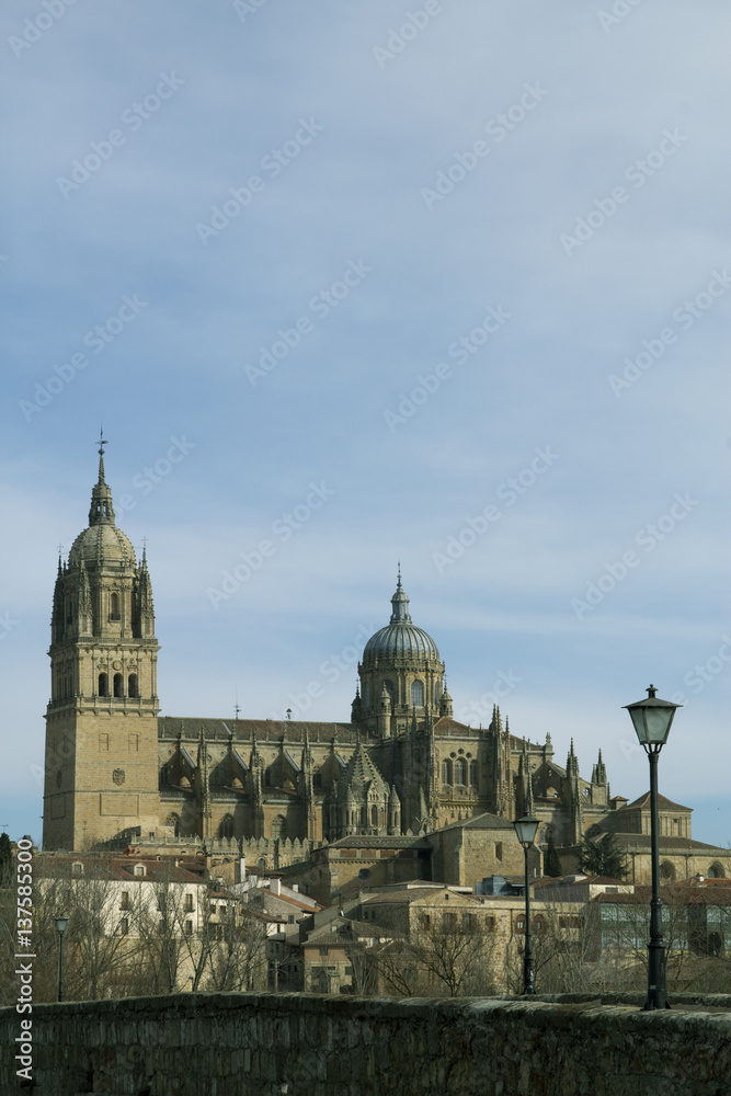  cathedral of salamanca, spain