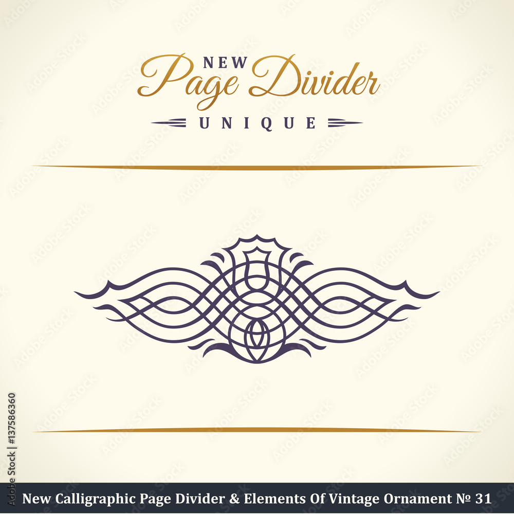 Fototapeta premium New Calligraphic Page Dividers and Elements of vintage ornaments