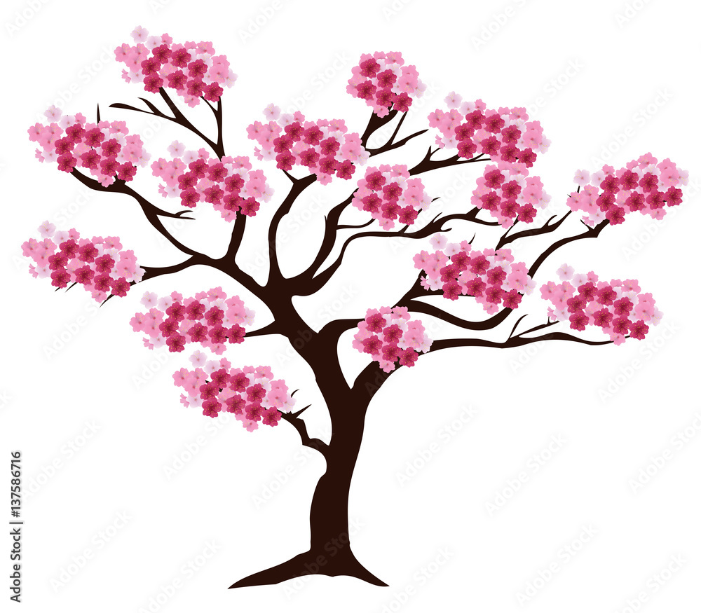vector cherry tree